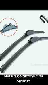 Şüşəsilənləri Şüşəsilənləri