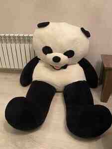 Oyuncaq ayı Oyuncaq ayı