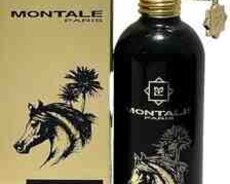 Montale Arabians Tonka 100 ml ətri