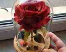 GOLD ROSE suvenir