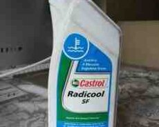 Antifriz Castrol Radicool SF 1L