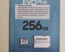 Samsung Evo Plus 256GB