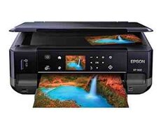 Printer Epson XP600