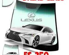 Lexus şüşələri