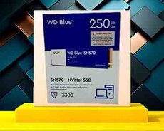 Sərt disklər HDD WD Blue M.2 NVMe 250Gb500Gb