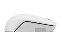 Lenovo 300 Wireless Compact Mouse