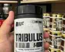 Nutrex tribulus idman qidası