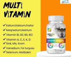 Multi Vitamin BestPlus