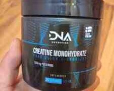 Creatine DNA