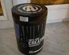 Creatine idman qidası