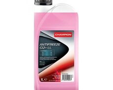 Champion Antifreeze