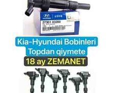 Hyundai, Kia bobinləri