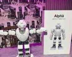 Alpha series (UBTECH ROBOTİCS)