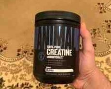 Animal Creatine