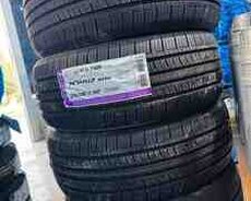 Nexen şinlər 22550 R17