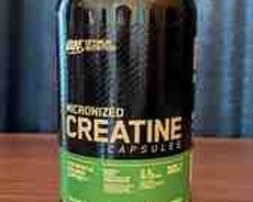 Optimum Nutrition Micronized Creatine (300 tablet)