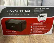 Printer Pantum P2500W