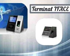 Terminal IFACE 702