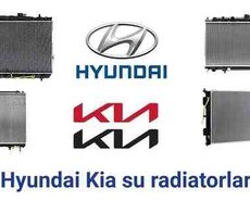 Hyundai, Kia su radiatoru