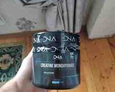 DNA Nutrition kreatin