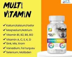 Multi Vitamin BestPlus