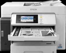 Printer Epson EcoTank M15180