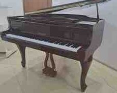 Piano Steinhoff