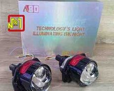 A80 biled lupa