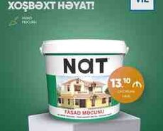 Nat fasad məcunu