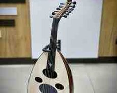 Ərəb udu