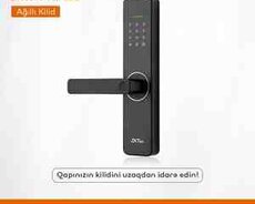 Ağıllı kilid ZKTeco ML 100 | DM-002