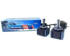 D5S Led Photon