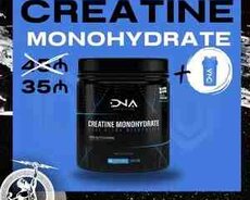 Creatine DNA Nutrition