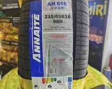 Annaite şinləri 21565 R16