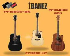 Elektro akustik gitaralar İbanez