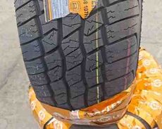 Şinlər 23560 R18