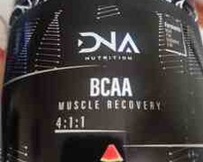 İdman qidası BCAA 4.1.1