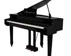 Elektron piano Symphony 880S
