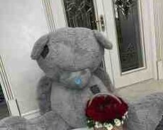 Oyuncaq ayı Teddy