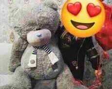 Teddy ayı