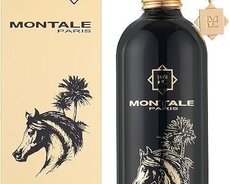 Montale Arabians Tonka