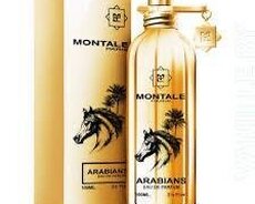 Montale Arabians