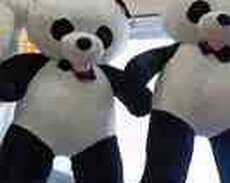 Oyuncaq panda
