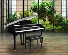Elektro royal Artesia AG-30
