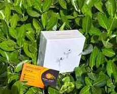 Air Pods Pro 2 Type-C Port Premıum