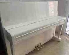 Piano Scholze