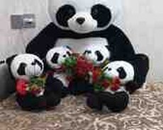 Oyuncaq pandalar