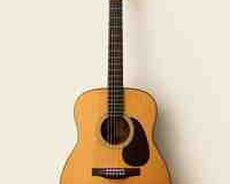 Akustik gitara