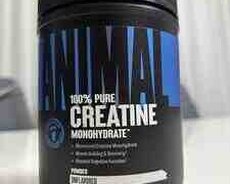 Animal Creatine idman qidası