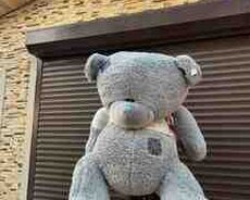 Yumşaq ayı Teddy